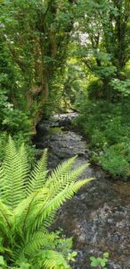 River walk, Ceibwr, Ceredigion